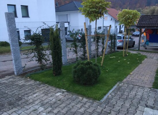 Bild 8